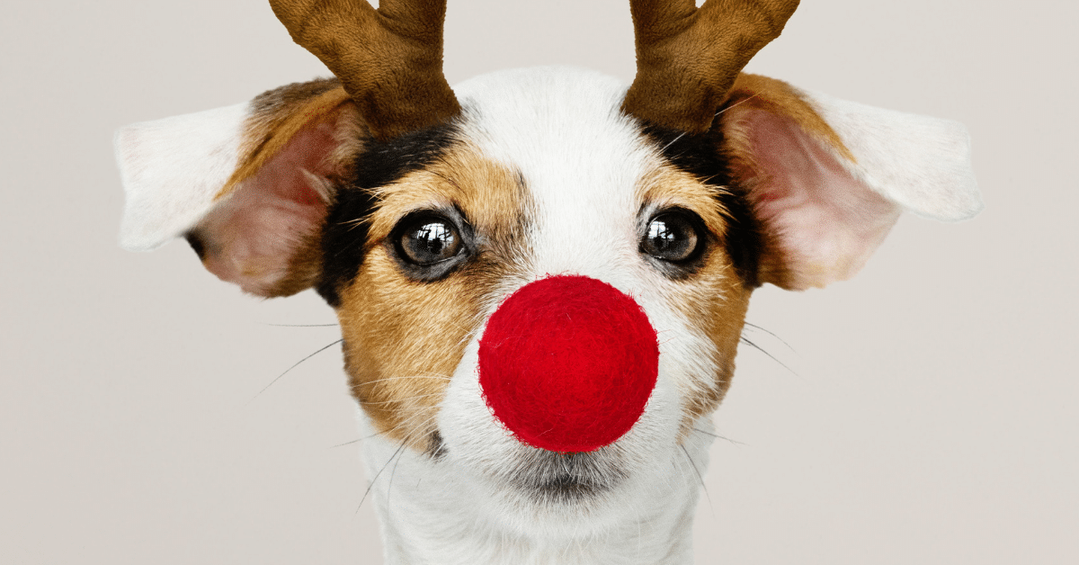 When Holiday Gifts and Parties are Deductible or Taxable
