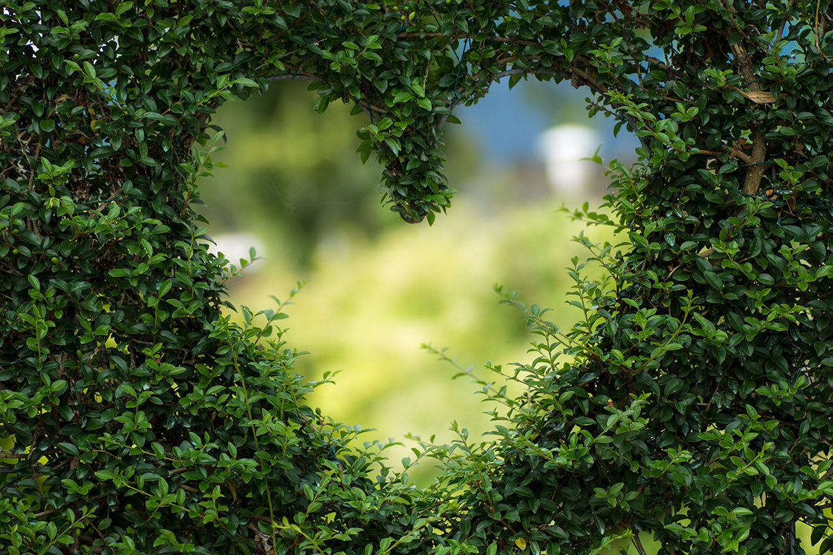 Green initiatives - green grass forming a heart
