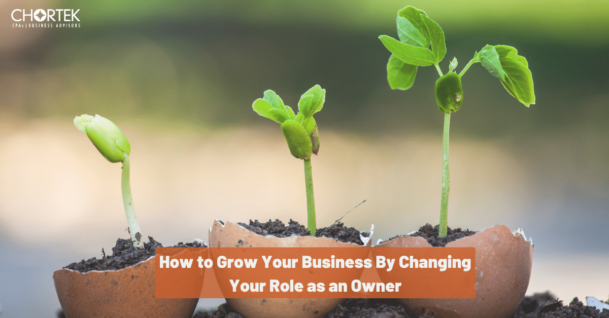 How to Grow Your Business By Changing Your Role as an Owner - an image of three plants sprouting in three different stages of growth