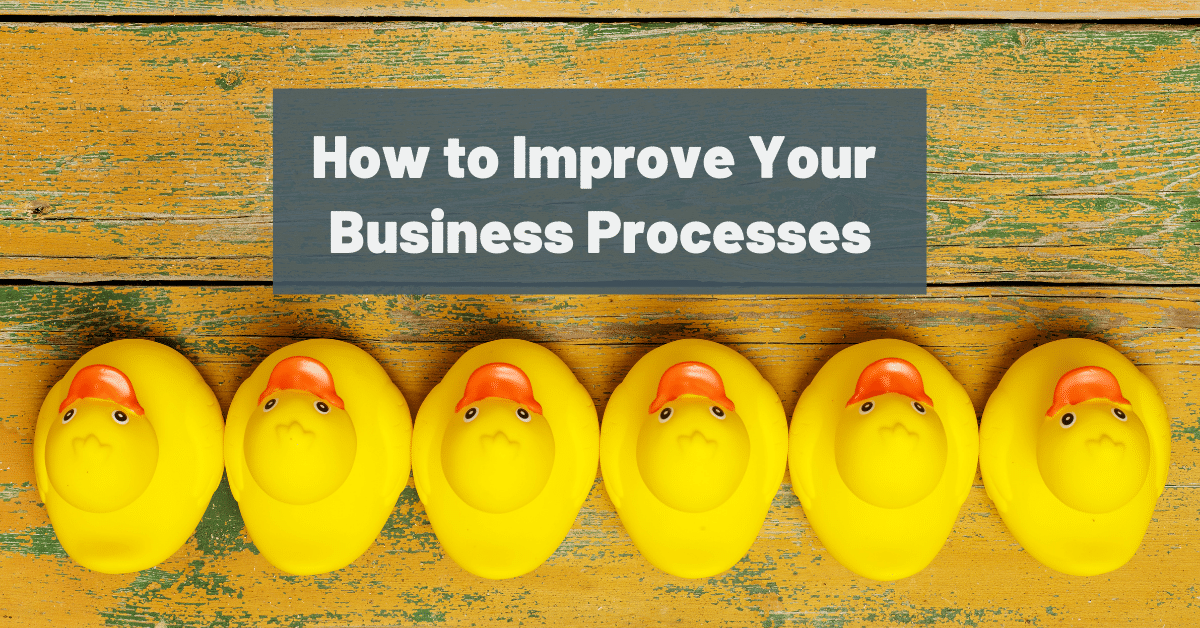 What can be done to improve processes in businesses? A picture of rubber ducks in a row with the caption "How to Improve Your Business Processes"